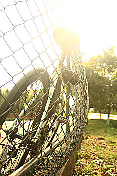 篮球场旁的自行车