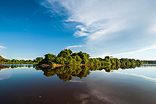 树,反射,水,河,潘塔纳尔,世界遗产,南马托格罗索州,巴西,南美