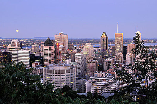 黎明,风景,皇家,上方,市区,蒙特利尔,魁北克,加拿大,北美
