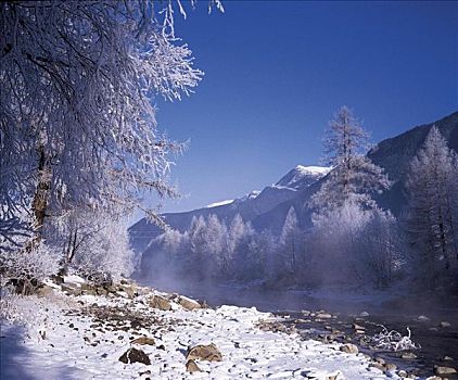 冬天,雪,冰,冬季风景,山峦,树,河,疼痛,提洛尔,奥地利,欧洲
