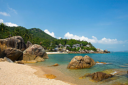 珊瑚,小湾,苏梅岛,岛屿,泰国,亚洲