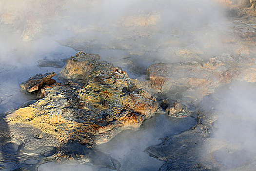 蒸汽,间歇泉,区域,雷克雅奈斯,半岛,冰岛