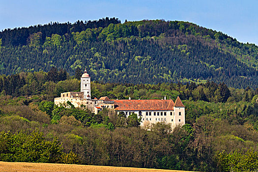 城堡,博物馆,下奥地利州