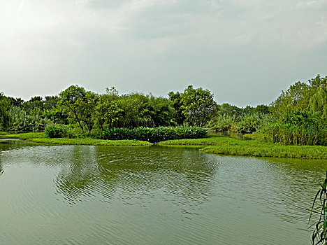 杭州西溪湿地