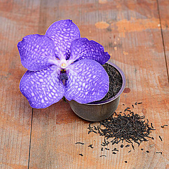 茶叶,紫色,兰花