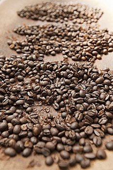 咖啡豆,巴拿马