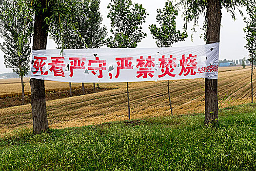 河南滑县,田间地头的秸秆禁烧标语