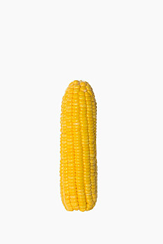 一个玉米孤立在白色背景上