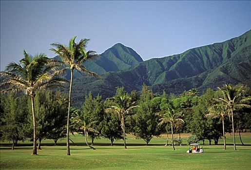 夏威夷,毛伊岛,高尔夫球场,洞