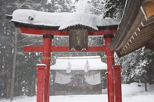 日本,靠近,长野,冬季风景,神社,鸟居,雪