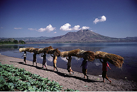 女人,捆,稻米,过去,布拉坦湖,巴厘岛,印度尼西亚