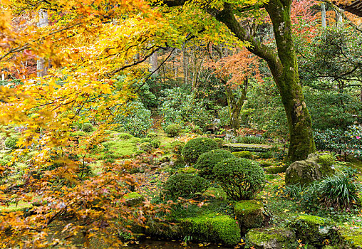 日式庭园,季节