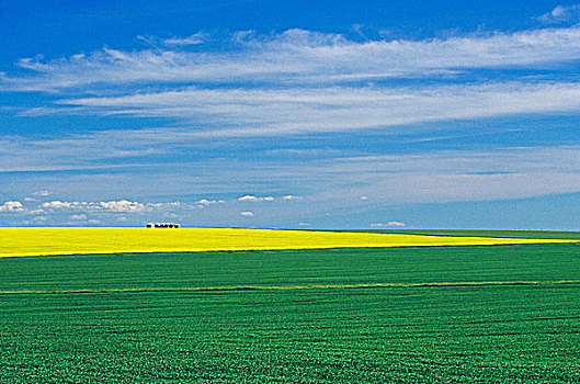 草原,景色,西南部,曼尼托巴,加拿大