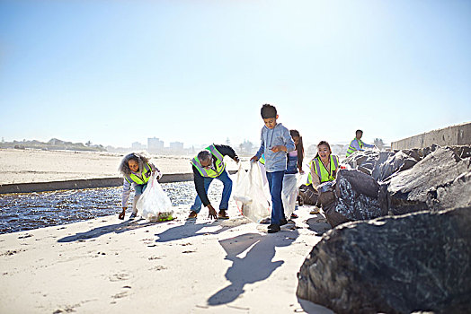 志愿者,清洁,垃圾,晴朗,海滩