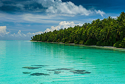 小,小岛,青绿色,水,蚂蚁,环礁,密克罗尼西亚