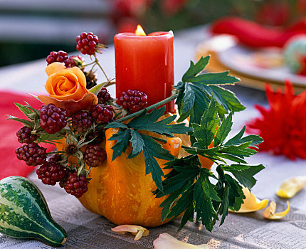 蜡烛,装饰,玫瑰,悬钩子属植物,葫芦科