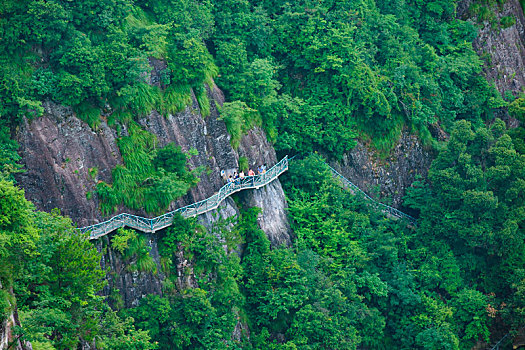 山,俯瞰,峡谷,森林,竹林