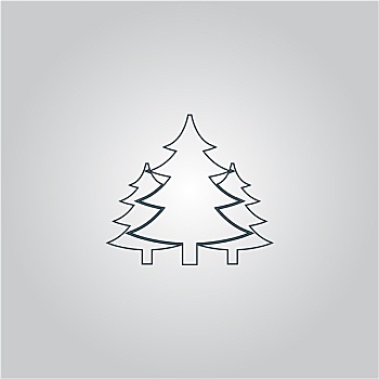 树,圣诞节,冷杉