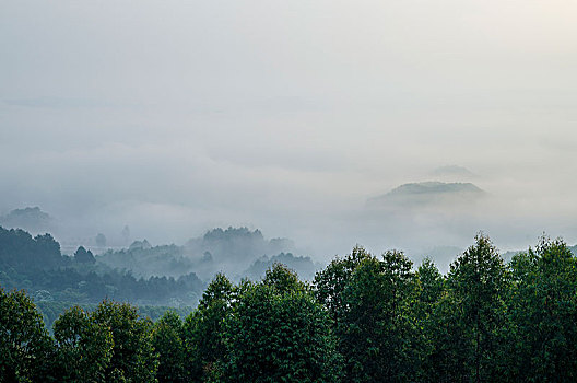 春天山野雾景