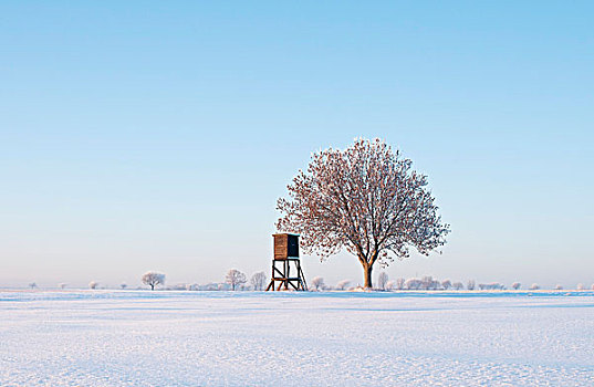 冬季风景,下萨克森,德国,欧洲