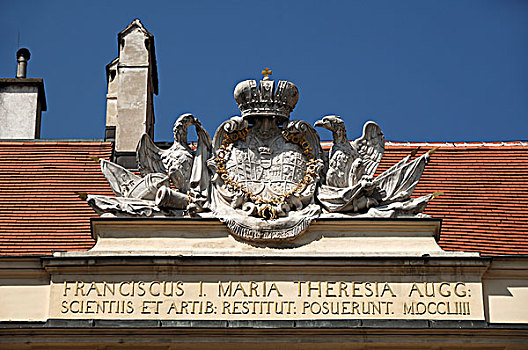 盾徽,鹰,山墙,奥地利,学院,科学,建造,街道,维也纳,欧洲