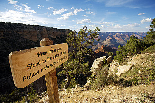 广告牌,岩石构造,风景,南缘,大峡谷,亚利桑那,美国