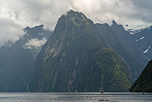 船,山,米尔福德峡湾,夏天,峡湾,国家公园,南部地区,地区,区域,南岛,新西兰