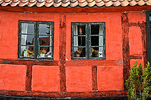 窗户,老,红房,丹麦,欧洲