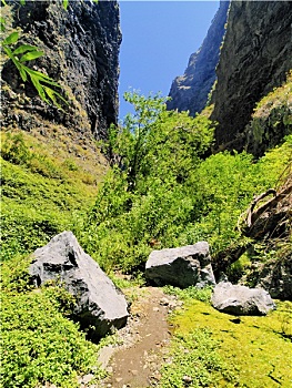 峡谷,特内里费岛