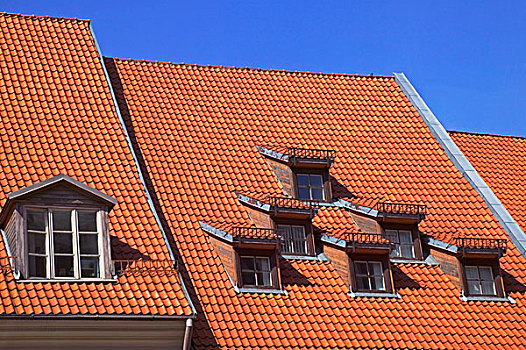 红色,屋顶,房子,里加,拉脱维亚
