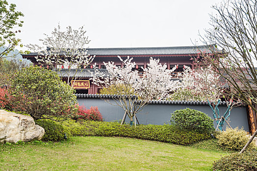 江苏南京,樱花,古建筑