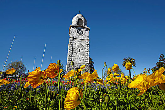 纪念,钟楼,布伦海姆,马尔伯勒,南岛,新西兰