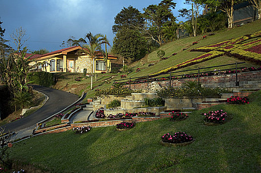 花园,房子,路边,山坡,哥斯达黎加