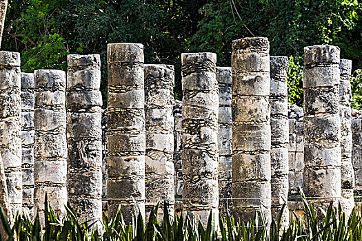 序列,古老,玛雅,石头,柱子,树,背景,奇琴伊察,尤卡坦半岛,墨西哥