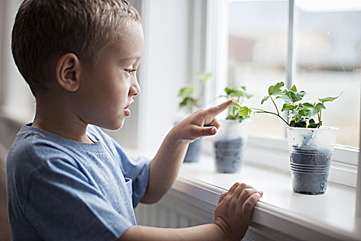 男孩,看,年轻,植物,罐,窗台
