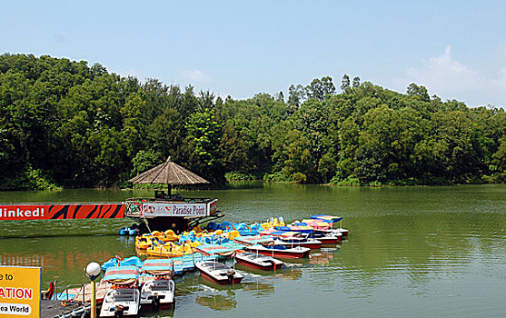 湖,城市,孟加拉,九月,2007年