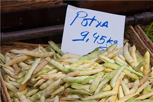 豆,维多利亚市,阿拉瓦,西班牙