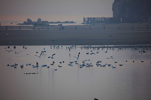 湿地风光,北戴河,海边,鸟类保护,和谐,潮汐,建筑,大海,河流