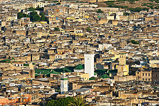 远眺,历史,城镇,中心,麦地那,摩洛哥,非洲