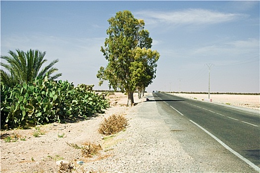 道路,阿加迪尔,摩洛哥