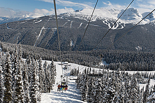 滑雪者,骑,缆车,滑雪胜地,不列颠哥伦比亚省,加拿大