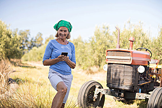 头像,高兴,女人,打手机,橄榄,农场,晴天