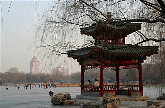 滑冰,紫色,竹子,公园,北京,中国