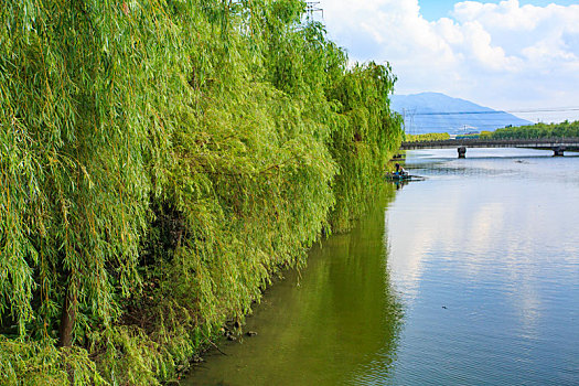 甬新河,河道,水环境治理