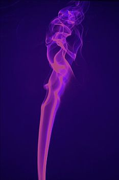 紫色,吸烟
