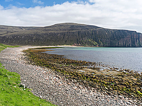 湾,海滩,岛屿,奥克尼群岛,苏格兰,大幅,尺寸