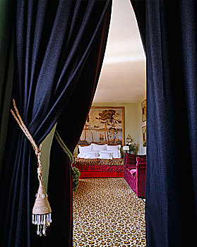 豹皮,地毯,卧室,帘