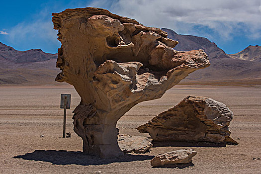 玻利维亚乌尤尼山区岩石树