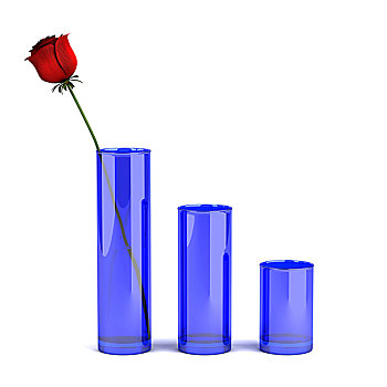 三个,蓝色,玻璃花瓶,玫瑰,隔绝