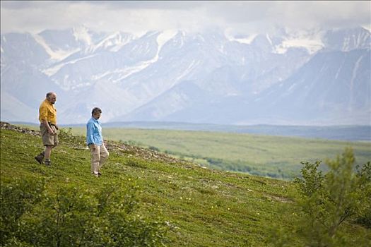 远足者,享受,风景,靠近,旺湖,德纳里峰国家公园,阿拉斯加,夏天